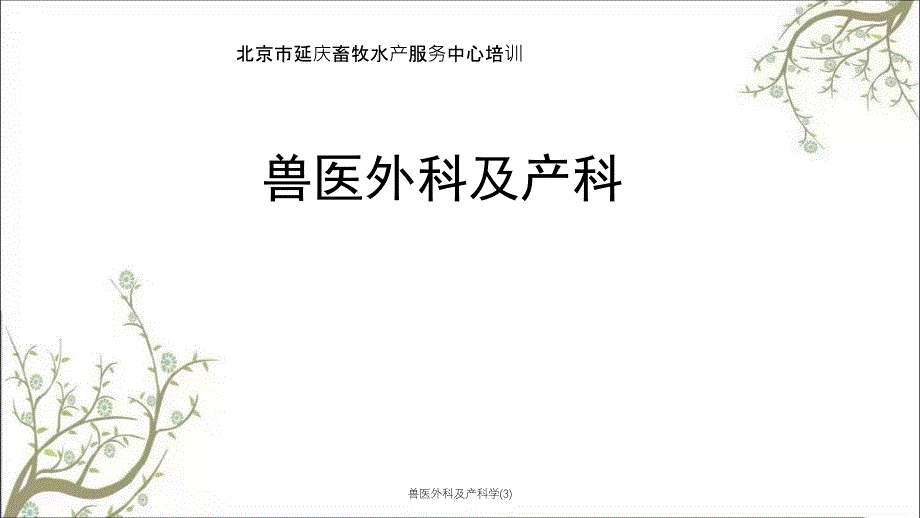 兽医外科及产科学(3)_第1页