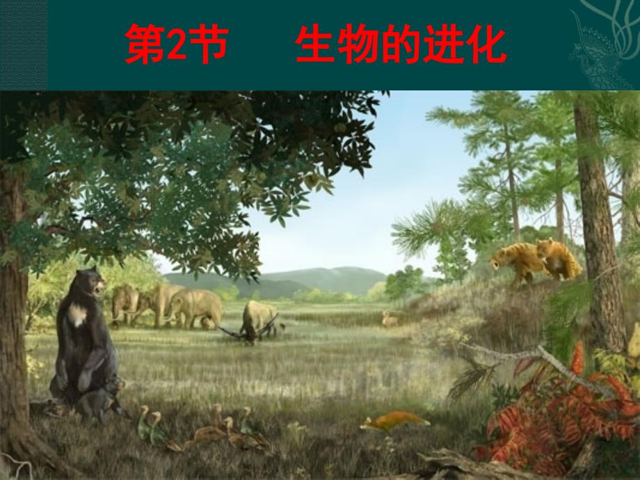 八年级生物下册 21.2 生物的进化(课件3)北师大版_第1页