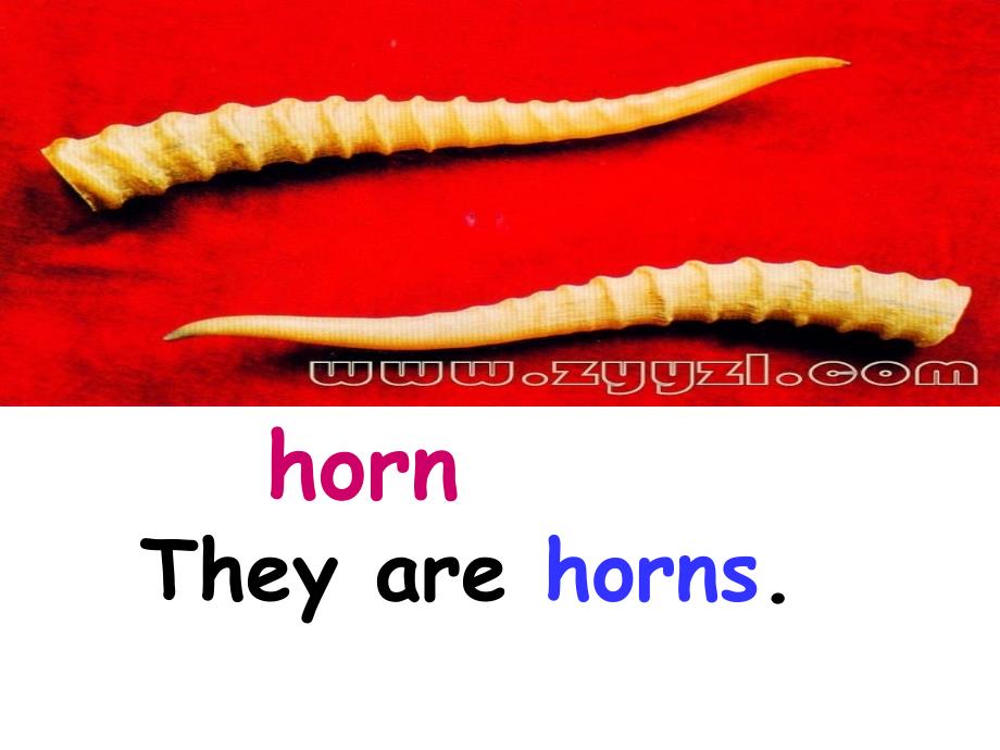 湘少版小学六上Unit_7_These_horns_are_too_big_课件_第4页