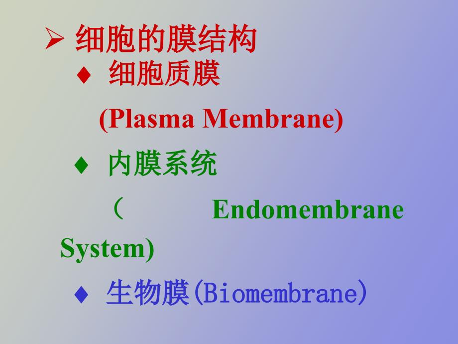 细胞质膜与跨膜运输A_第3页