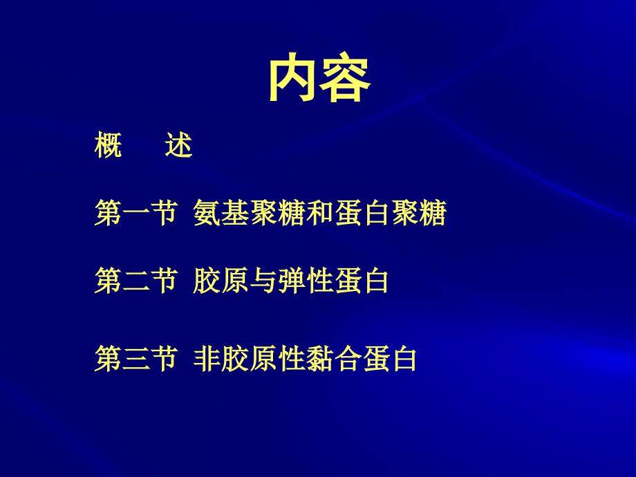 第十一章细胞外基质1_第2页