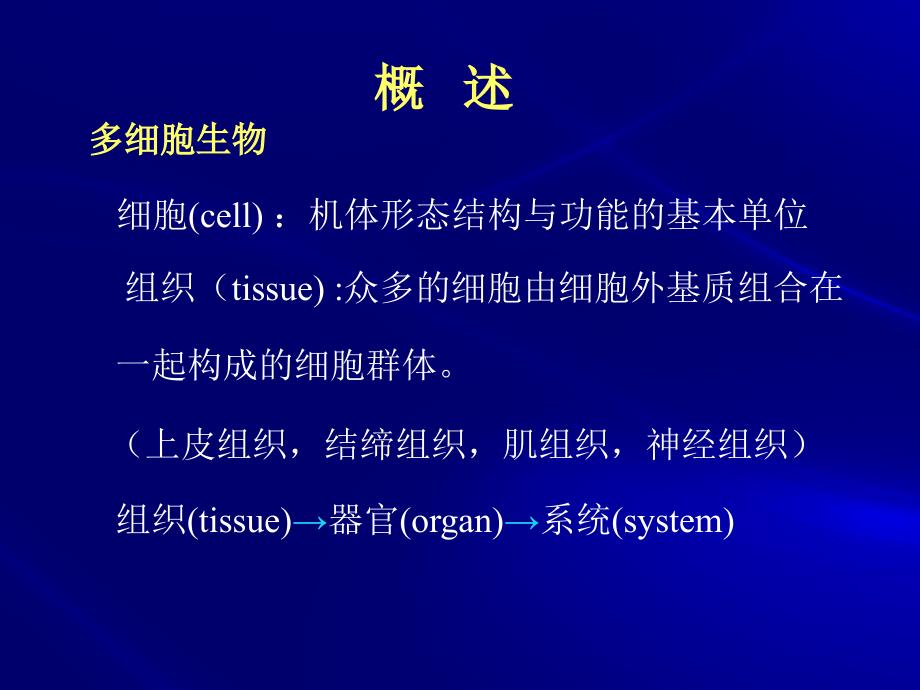 第十一章细胞外基质1_第3页