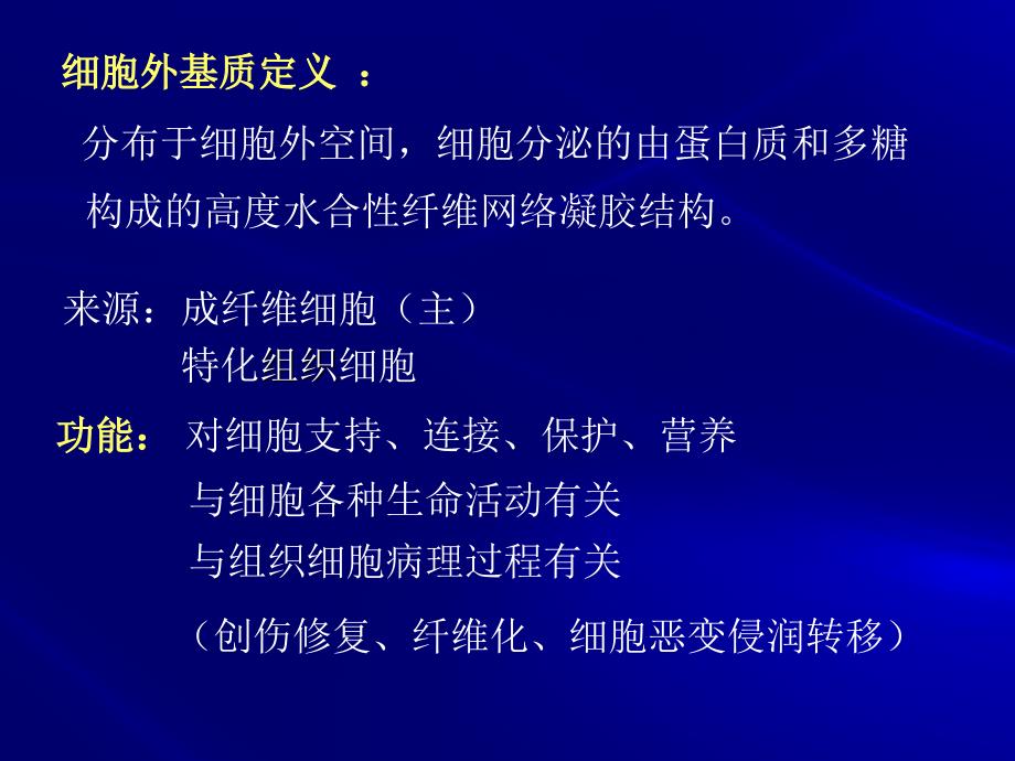 第十一章细胞外基质1_第4页