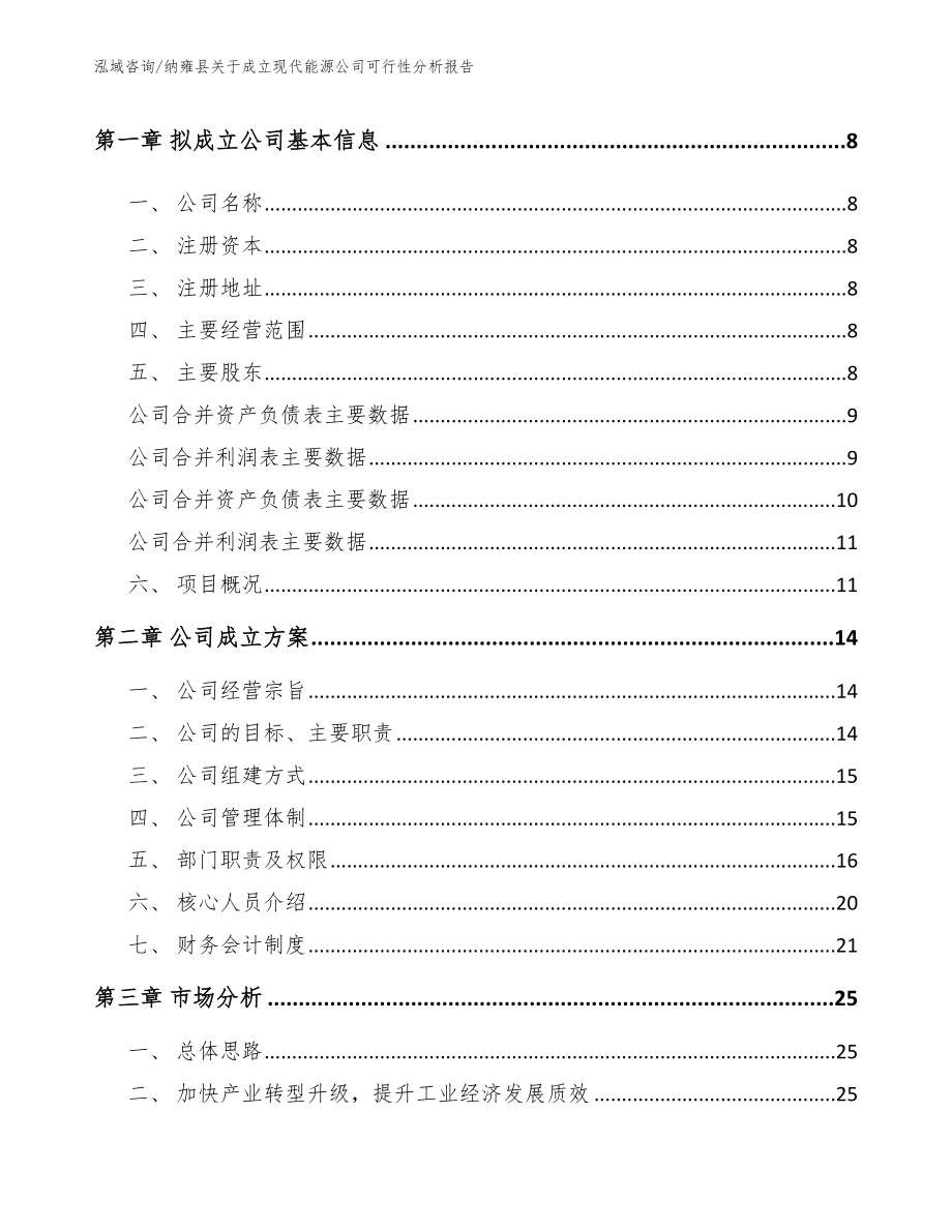 纳雍县关于成立现代能源公司可行性分析报告（模板范文）_第3页