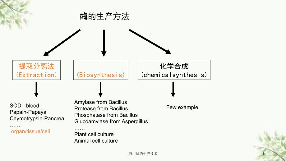 药用酶的生产技术课件_第1页