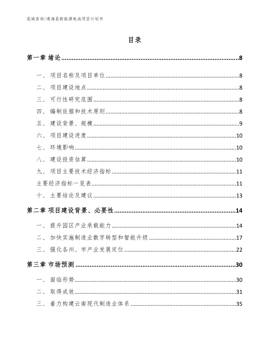通海县新能源电池项目计划书_参考范文_第2页