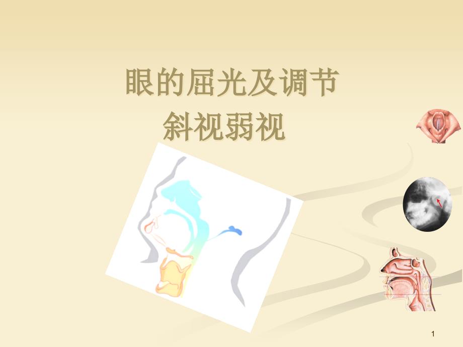 眼的屈光及调节ppt课件_第1页