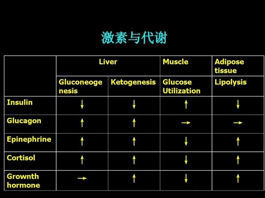 糖尿病酮症酸中毒诊断和治疗要点共39页课件_第5页