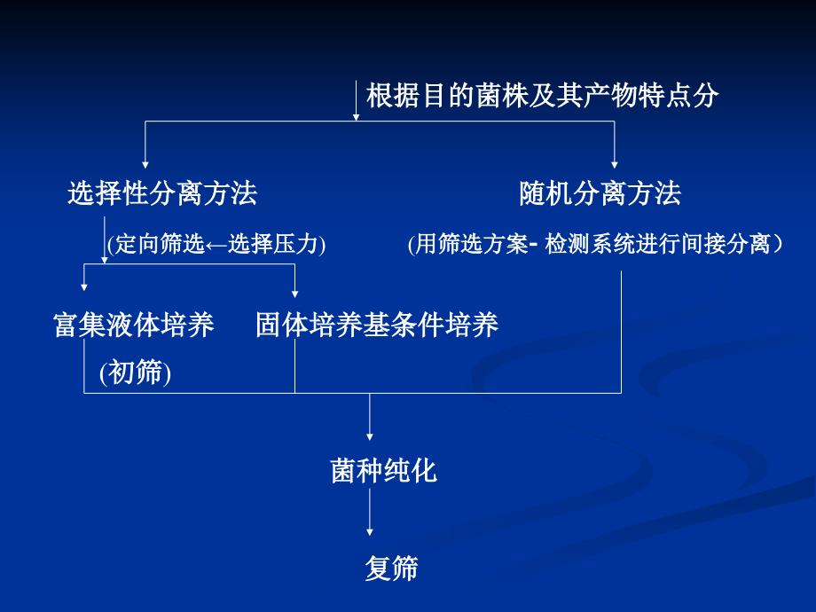 生化工程2-菌株的分离_第4页