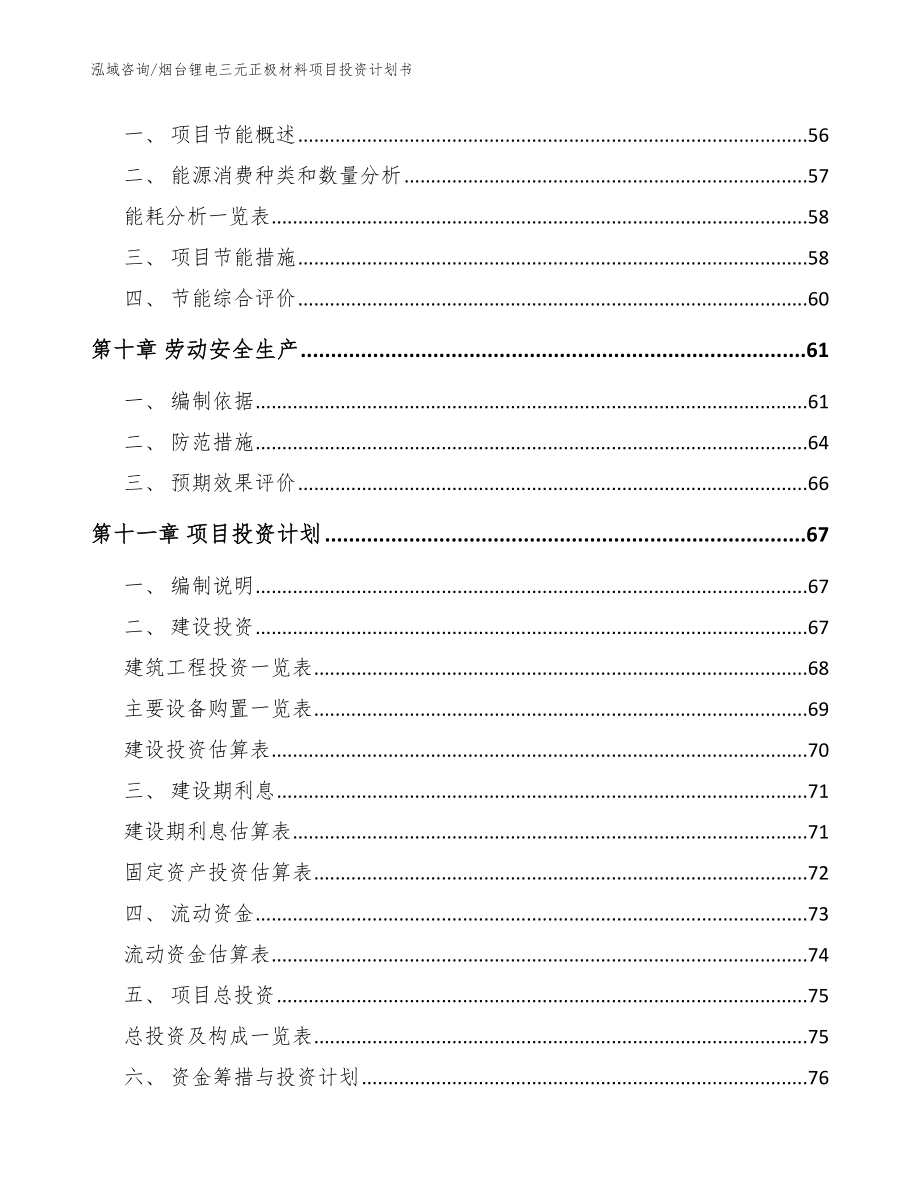 烟台锂电三元正极材料项目投资计划书_模板参考_第4页