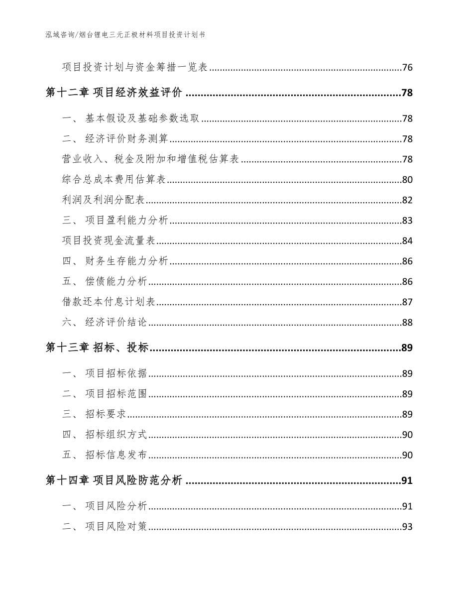 烟台锂电三元正极材料项目投资计划书_模板参考_第5页