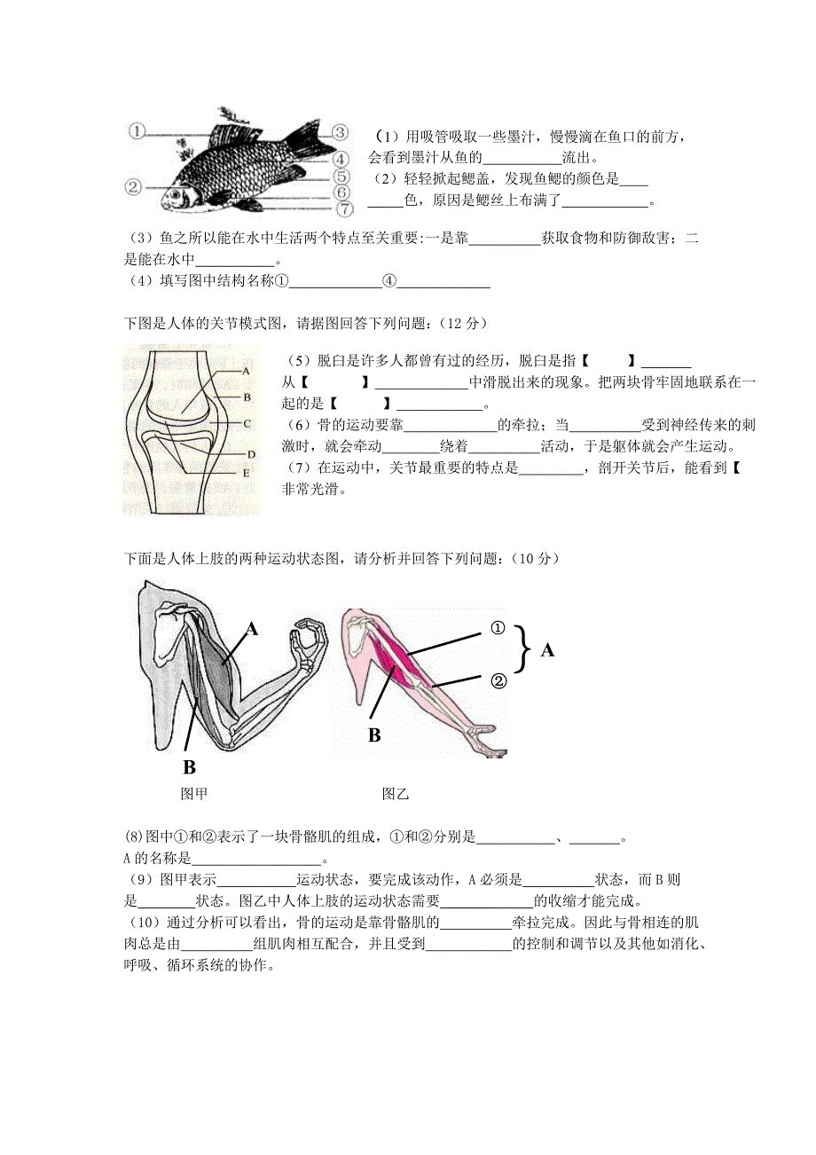 人教版新课标八年级上册生物期中试题含答案_第4页