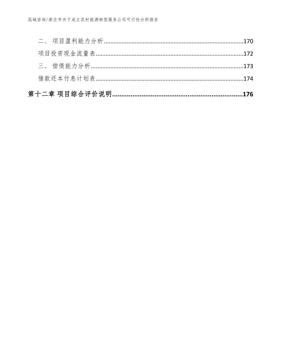 崇左市关于成立农村能源转型服务公司可行性分析报告_第5页