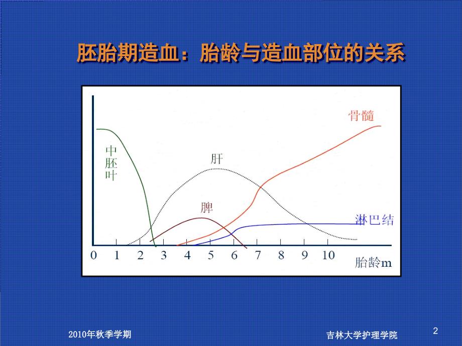 营养性缺铁性贫血患儿的护理_第2页