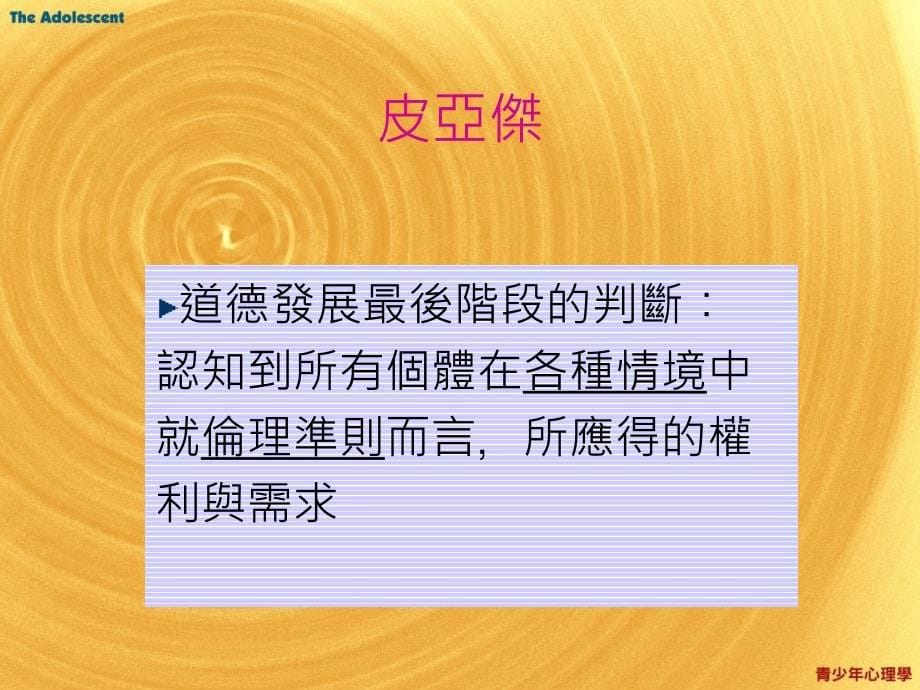 认知社会化理论课件_第5页