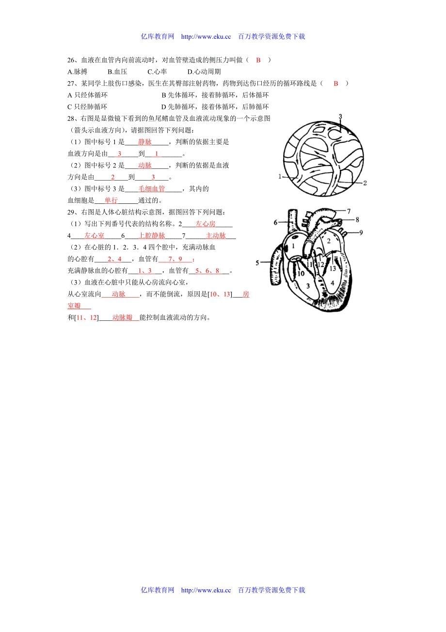 人体内物质的运输练习题_第5页