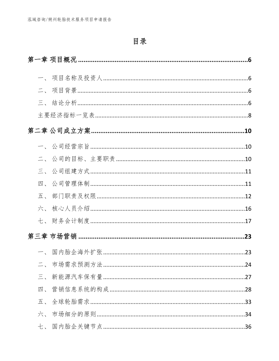 朔州轮胎技术服务项目申请报告_第1页