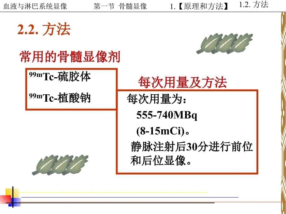 6.血液与淋巴系统_第5页