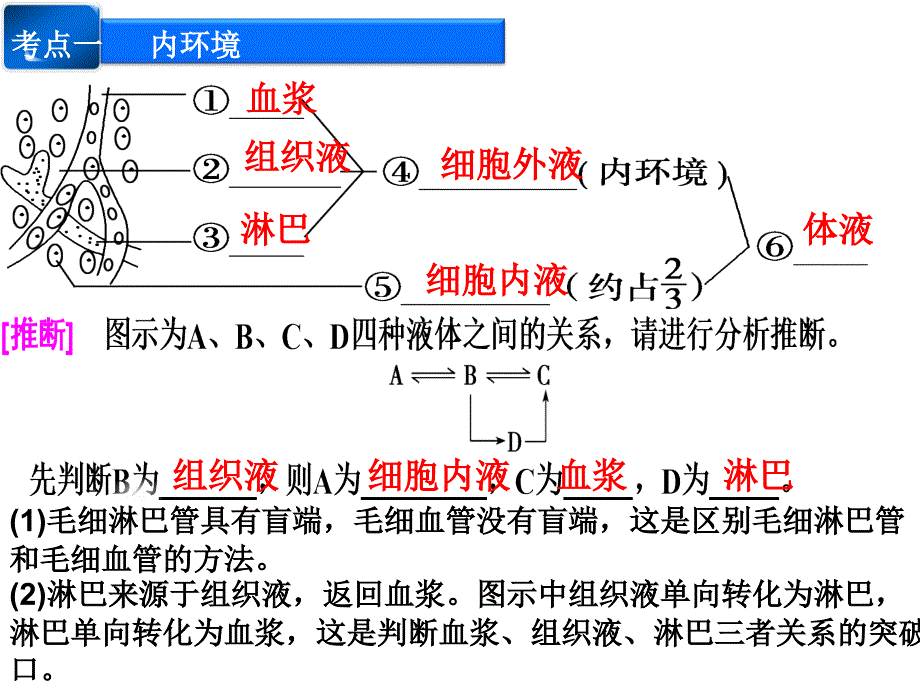 人教版高二生物《人体内环境稳态及实例》课件_第2页