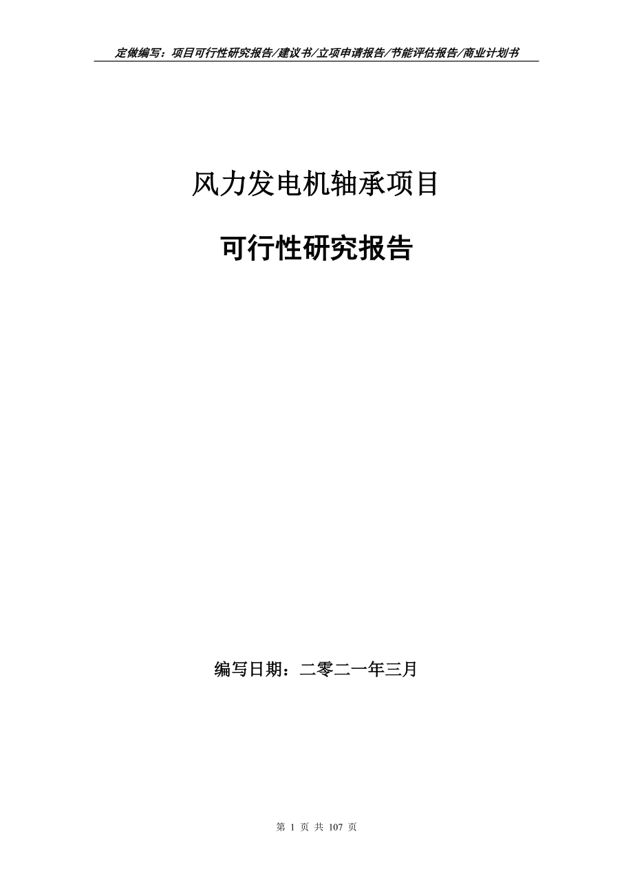 风力发电机轴承项目可行性研究报告写作范本_第1页