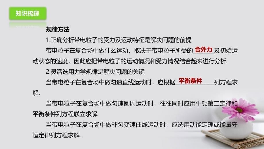 高考物理二轮专题突破专题六电场和磁场2带电粒子在复合场中的运动课件 名师制作优质学案新_第5页