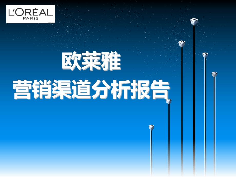 欧莱雅营销渠道_第1页
