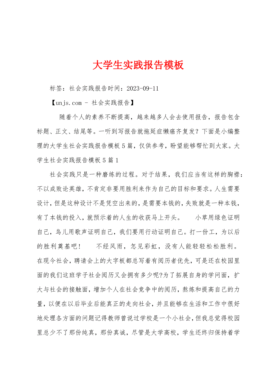 大学生实践报告模板.docx_第1页