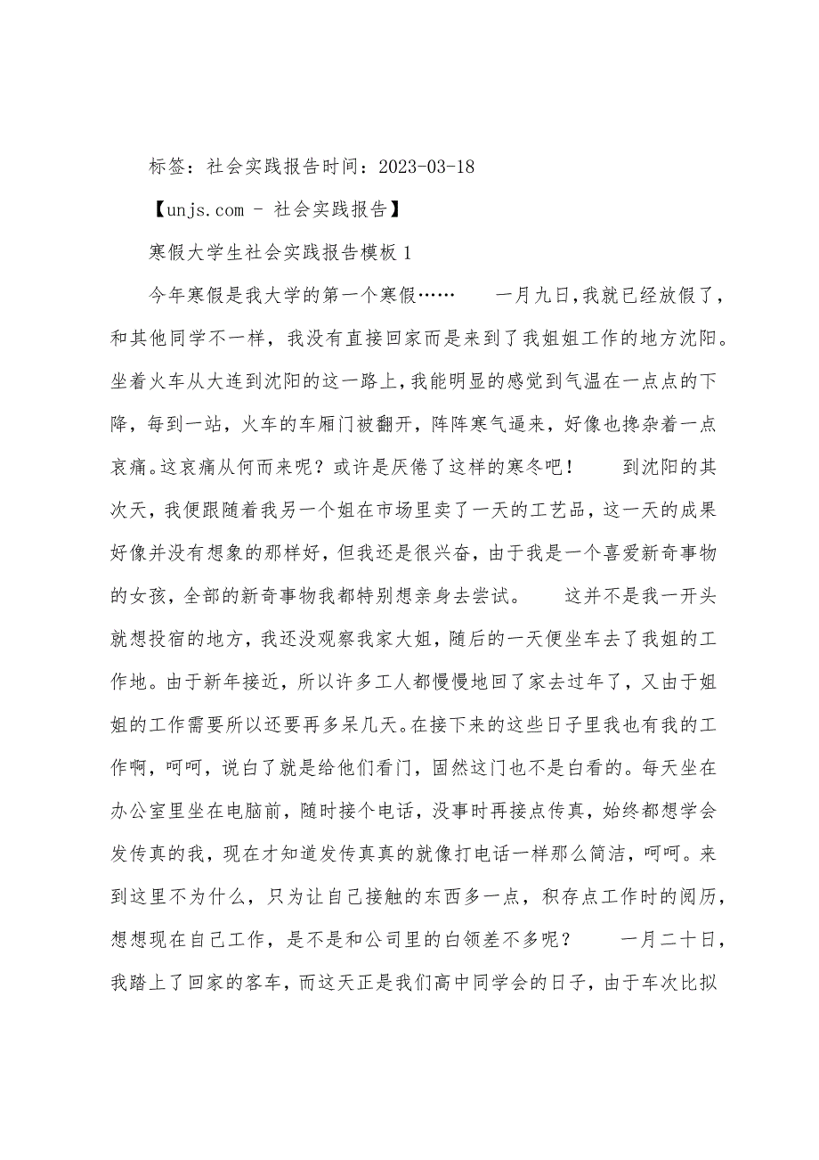 大学生实践报告模板.docx_第4页