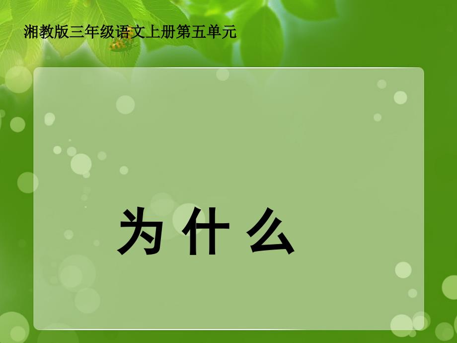 三年级语文上册第五单元为什么课件1湘教版湘教版小学三年级上册语文课件_第1页