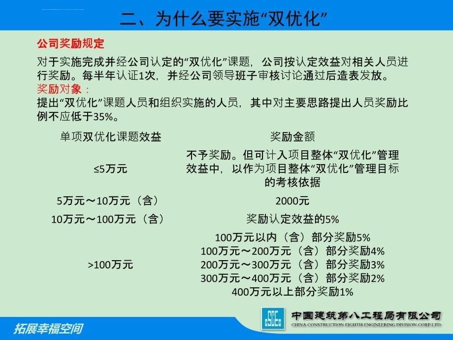 项目双优化管理_第5页