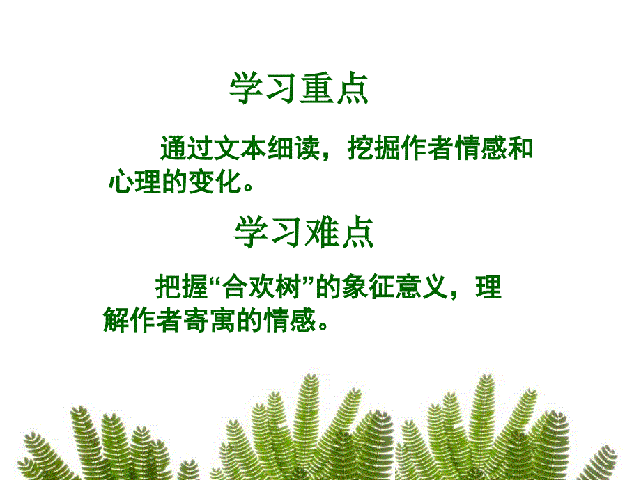 《合欢树》课件_第4页