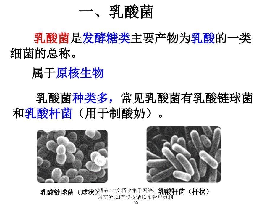 制作泡菜并检测亚硝酸盐含量55_第5页