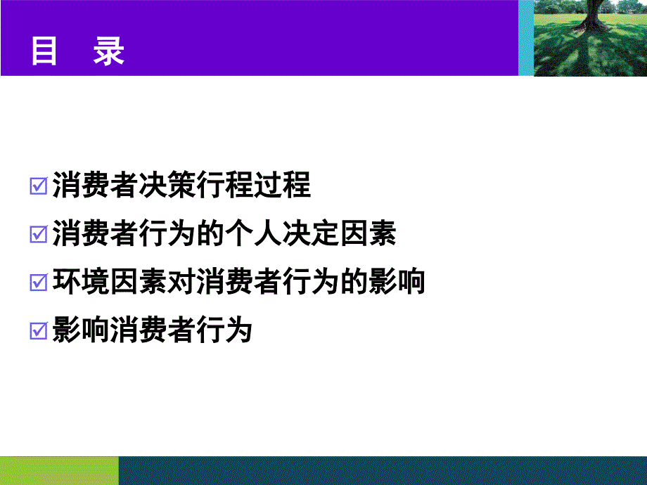 怎样抓住消费者心课件_第3页