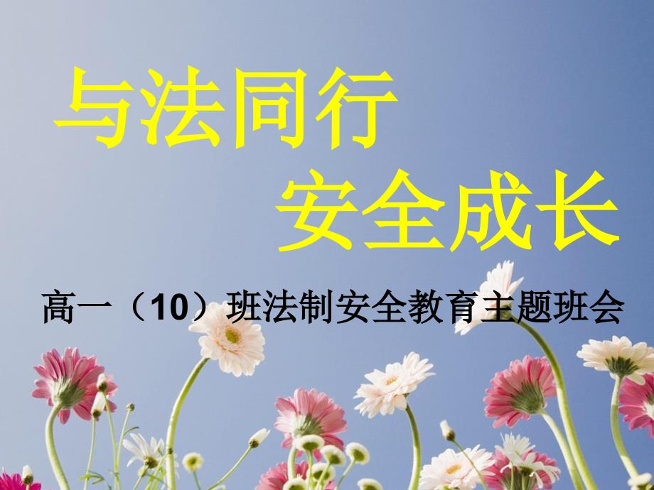 法制教育主题班会-竞赛课件.ppt_第1页