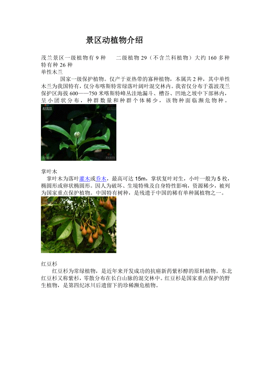 茂兰生态旅游区的植物介绍.doc_第1页