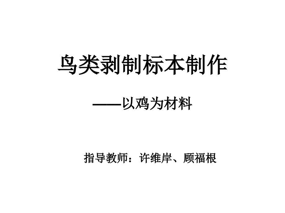 实验1鸟类剥制标本制作_第1页