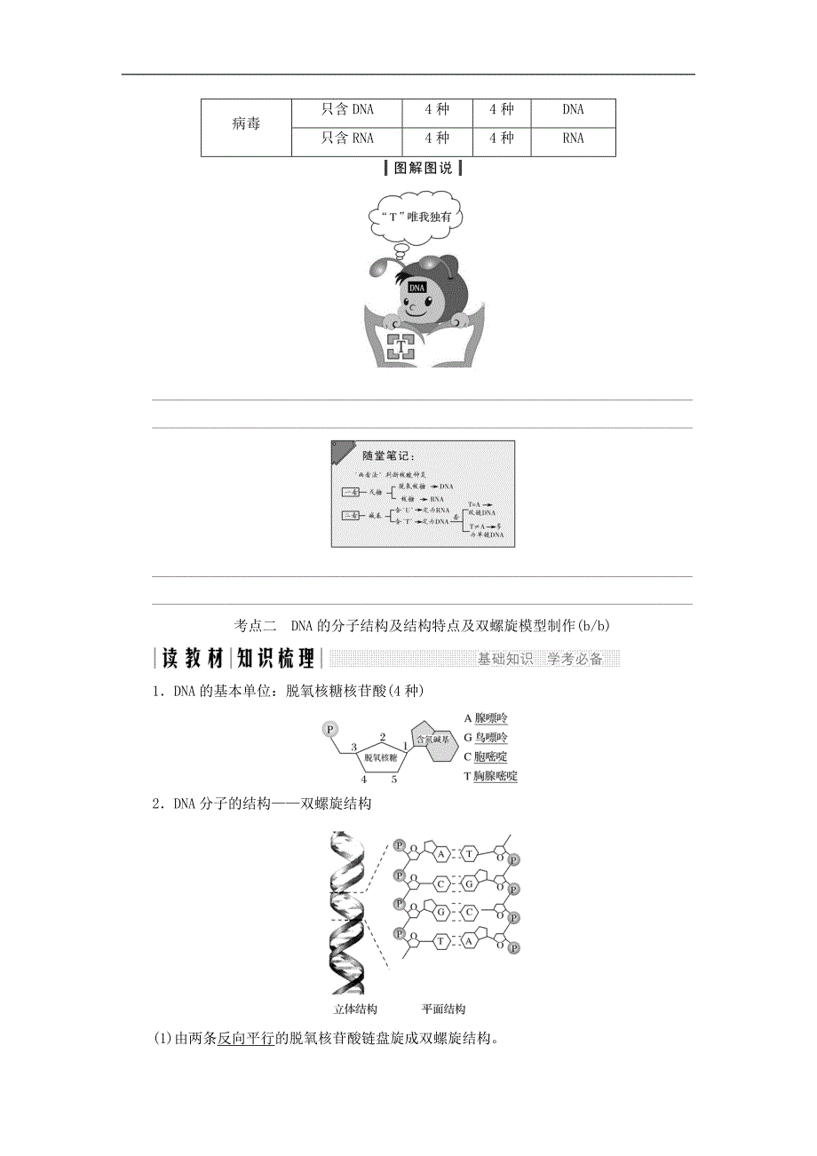 高中生物第三章遗传的分子基础第12课时DNA的分子结构和特点同步备课教学案浙科版必修2_第2页