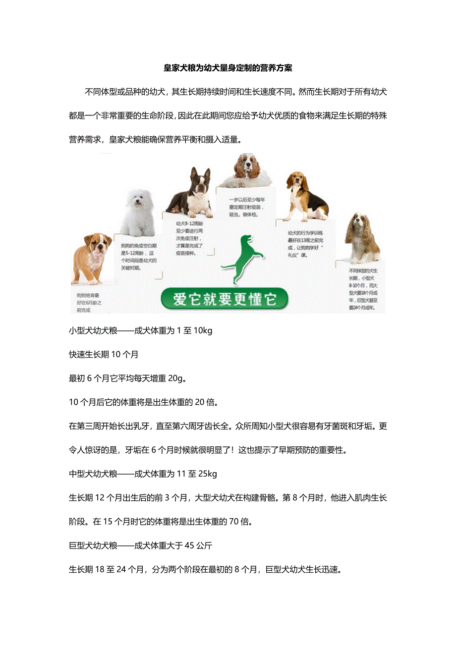 皇家犬粮为幼犬量身定制的营养方案_第1页