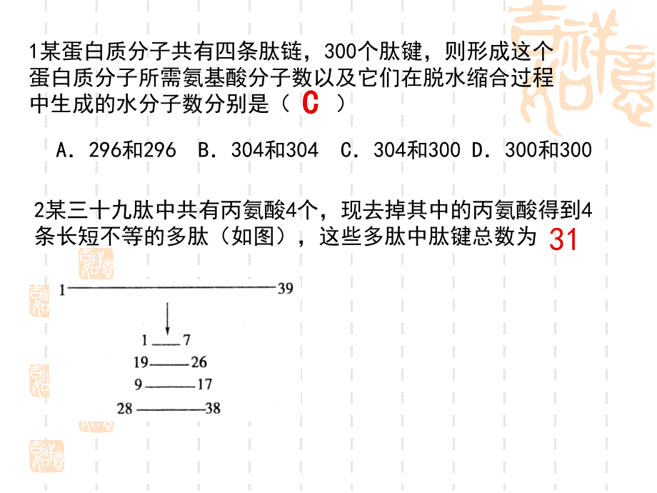 蛋白质相关计算课件_第2页