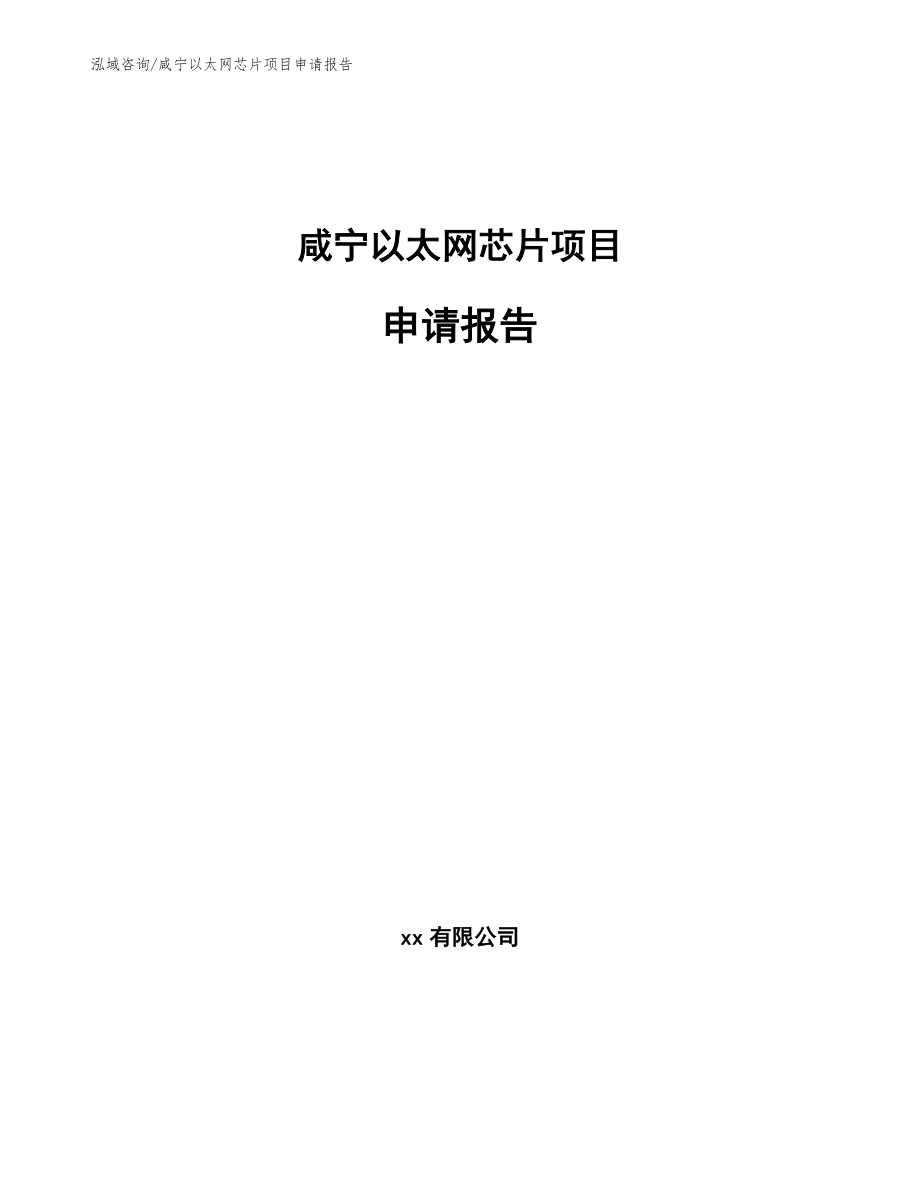 咸宁以太网芯片项目申请报告_模板范本_第1页