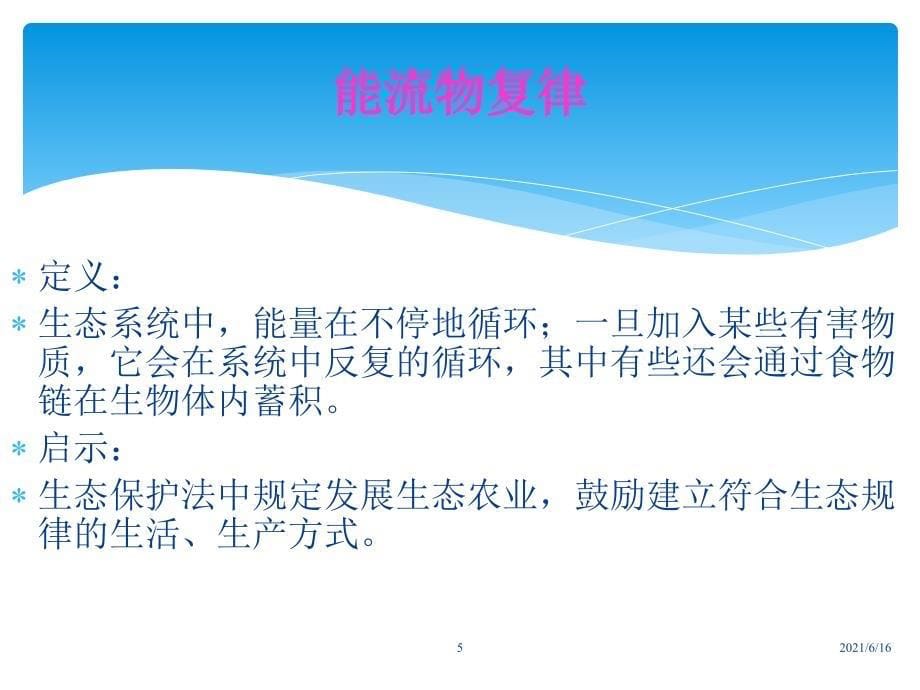 生态规律及生态学规律_第5页