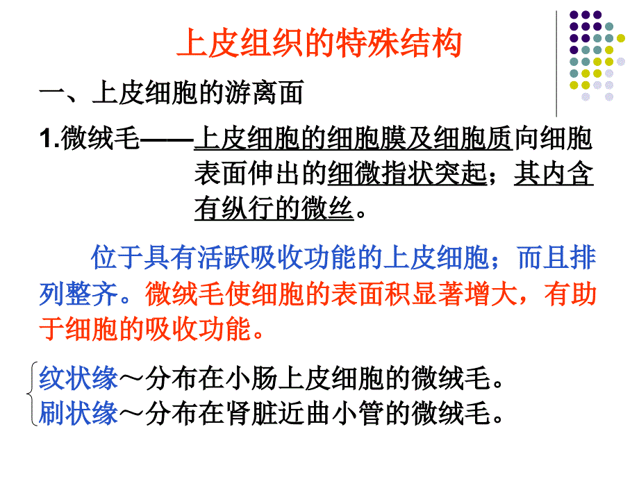 上皮组织的特殊结构_第1页