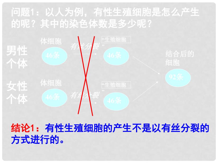 高中生物 第二章 基因和染色体的关系 2.1.1 减数分裂教学课件 新人教版必修2_第3页