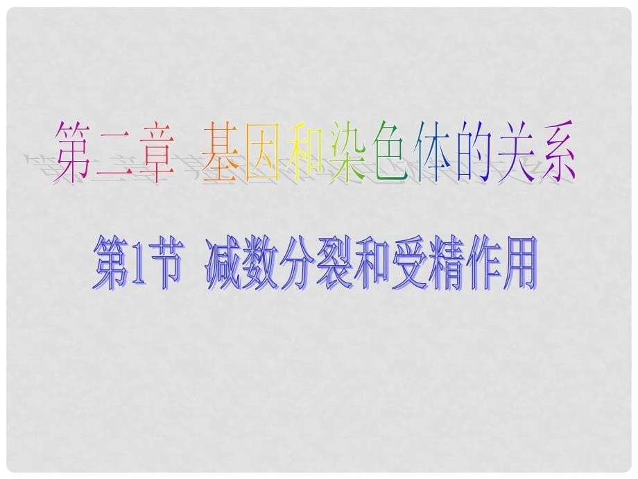 高中生物 第二章 基因和染色体的关系 2.1.1 减数分裂教学课件 新人教版必修2_第5页