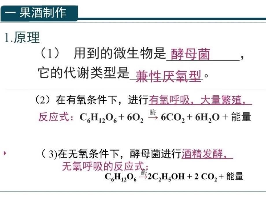 《果酒和果醋的制作 》有视频教学提纲_第5页