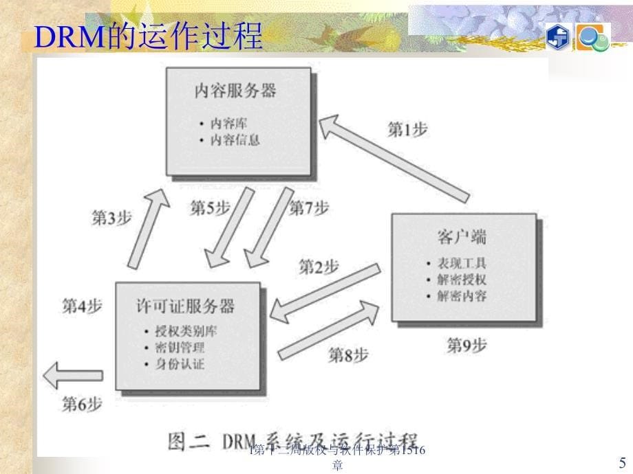 l第十二周版权与软件保护第1516章课件_第5页