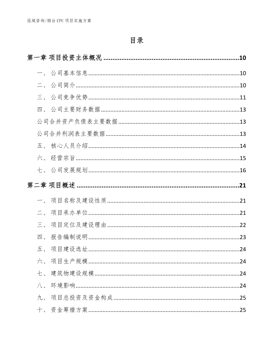 烟台CPU项目实施方案（参考模板）_第2页