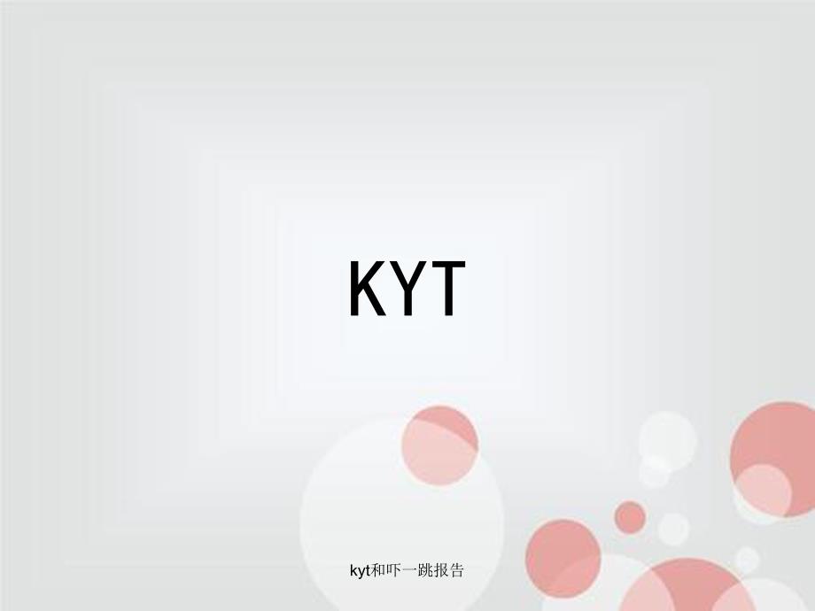 kyt和吓一跳报告_第2页