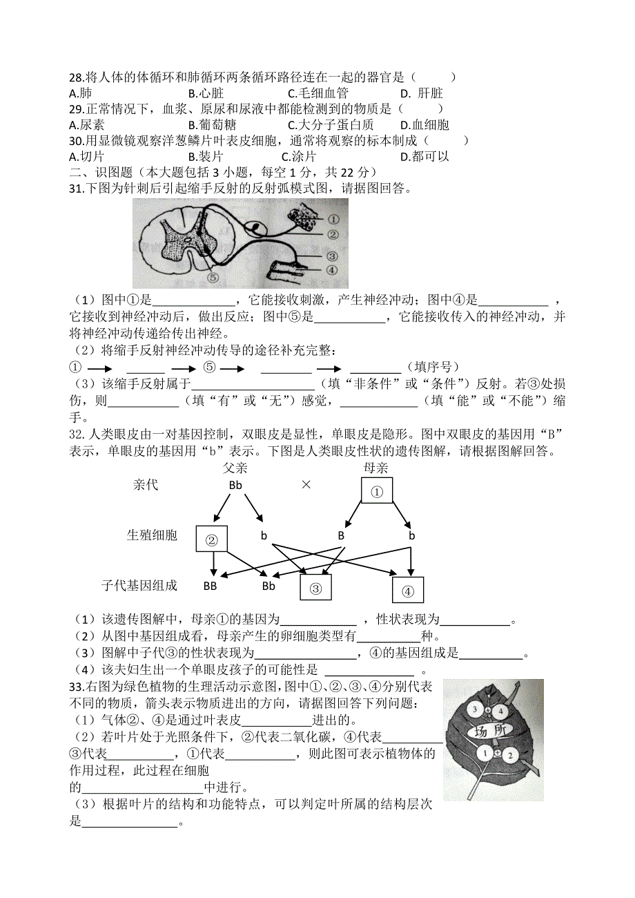 1如东县实验中学2014—2015学年度第一学期期中考试试卷（王园园）.docx_第3页