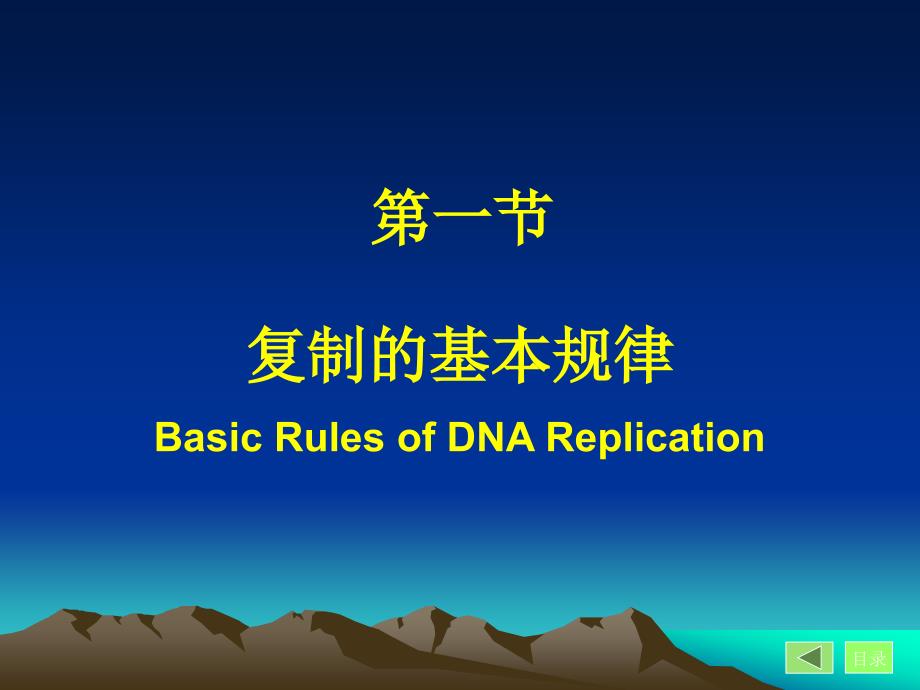 DNA的生物合成复制DNABiosynthesisReplication_第4页